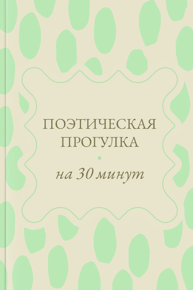 Поэтическая прогулка на 30 минут