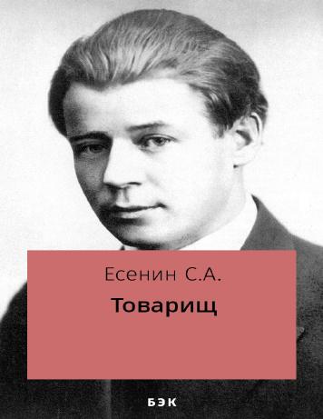Товарищ