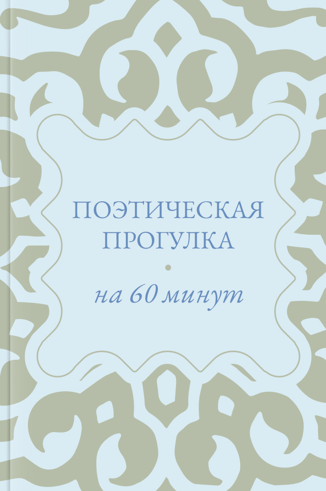 Поэтическая прогулка на 60 минут